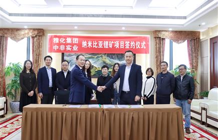 再下一城，意昂2再度出手控股锂矿资源 ——记收购非洲纳米比亚达马拉兰地区四个锂矿矿权