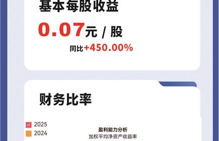 意昂2集团2024年年报及2025年一季报图解